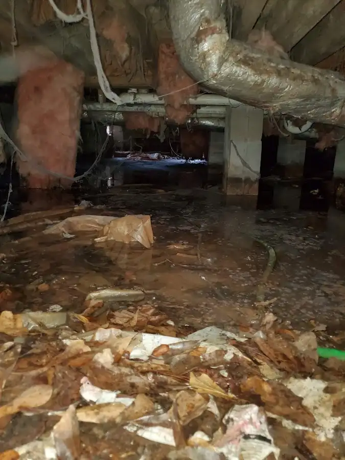 Crawl space flood assessment for Commercial Water Damage Restoration in Eagle